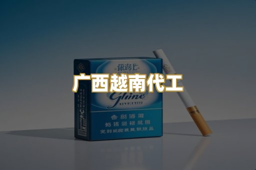 广西越南代工